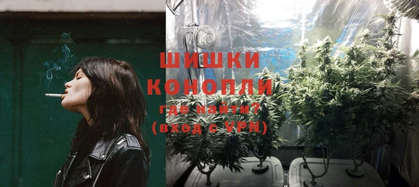 шишки Шали
